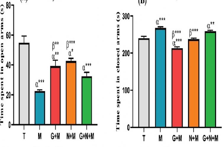 Anxiety-related behavior of rats in the elevated plus-maze test (EPM) on day 21 of experimentation (n=05).