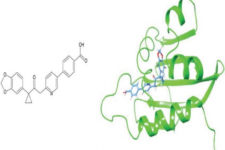 2D representation of the 831 molecule (left), and the 3D representation coupled to 1PZ4 (right).