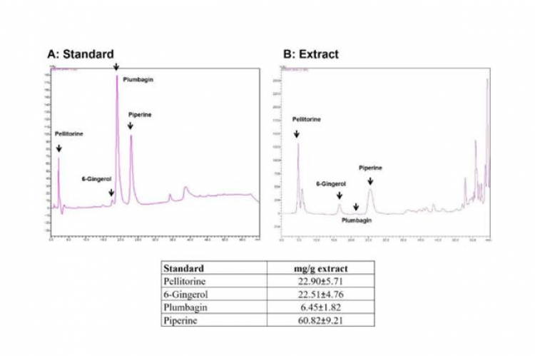 High-performance liquid chromatography chromatogram of active compounds in Benjakul extracts, (A) Standard (B) Benjakul extract.