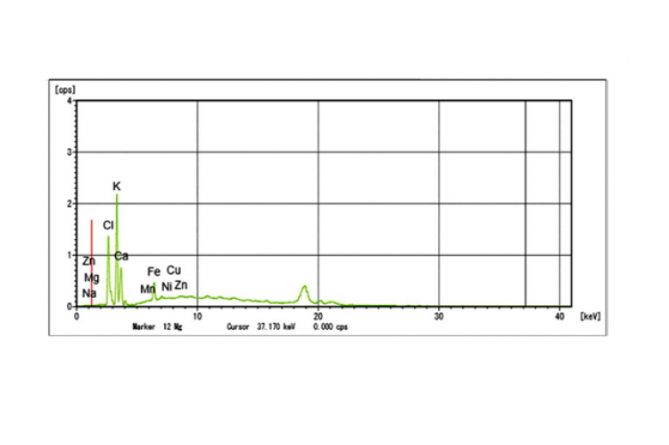 XRF spectra.