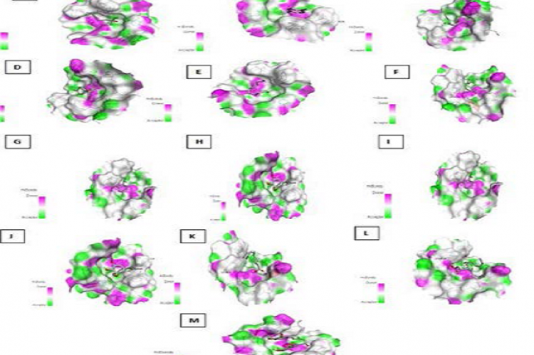 3-dimensional interactions of ligands with receptor NADPH Oxidase.