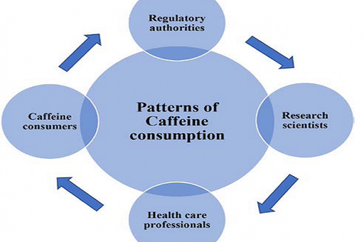Patterns of Caffeine Consumption in Western Province of Saudi Arabia