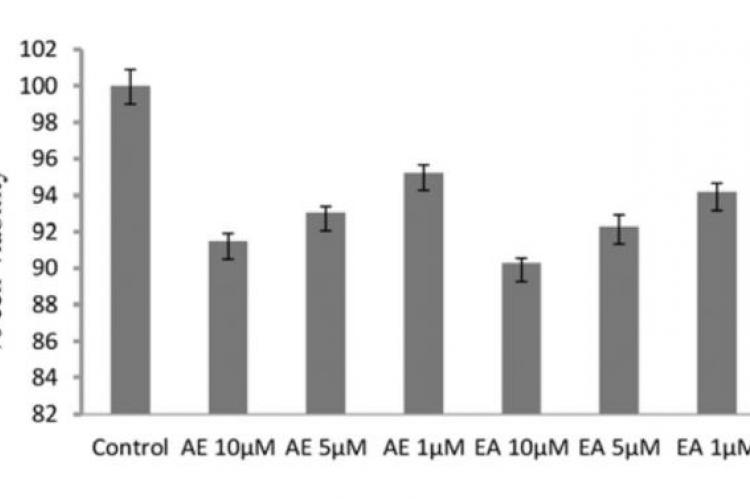 Anti-inflammatory Potential of Euphorbia helioscopia Extracts against RAW264.7 Macrophages