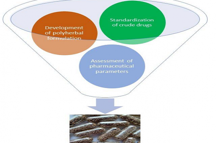 Graphical Abstract