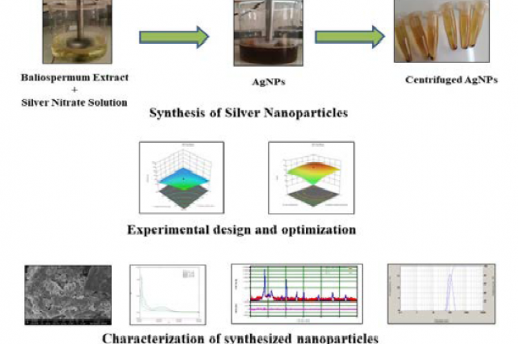 Graphical Abstract