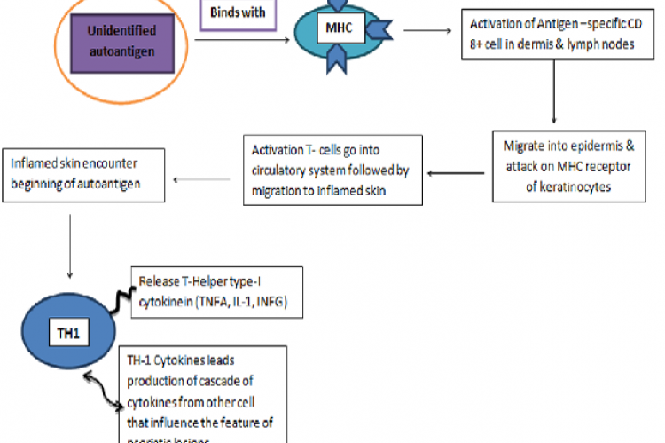 Mechanism for Psoriasis.