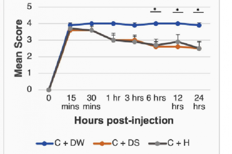 Gross appearance of the right hind paw of representative mice treated with distilled water, diclofenac sodium and honey at 0, 15 min, 30 min, 1, 3, 6, 12, and 24 hr post-injection of λ-carrageenan