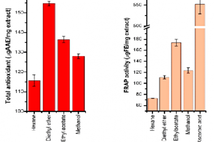 Total antioxidant capacity (TAC) and ferric reducing (FRAP) activity of different solvent fractions. Values are expressed as mean ± SD, n=3.