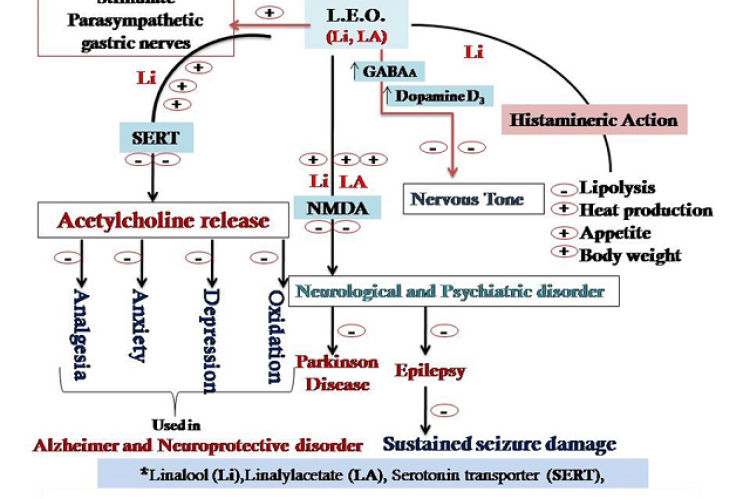 Layout of pharmacological action of (L.E.O) for mental health