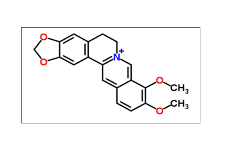Structure of Ursolic acid.