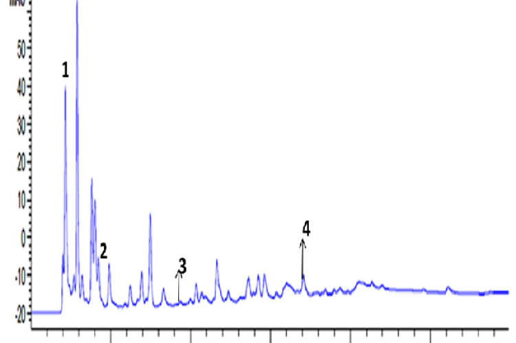 HPLC chromatogram of CA root (RT) showing 1-Gallic acid (Rt= 4.296), 2-2,4-dihydroxybenzoic acid (Rt= 8.101), 3- p –Cresol (Rt= 18.885), 4- Quercetin (Rt= 34.158).