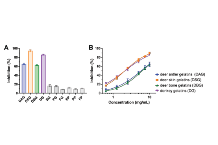 Superoxide anion scavenging activity of deer gelatins and commercially available gelatins and collagen peptides. Inhibition rates of gelatins and collagen peptides from deer, donkey, bovine, pig and fish (A) and inhibition curves of gelatins from deer and donkey (B). Each value represents a mean±SD (n=3).