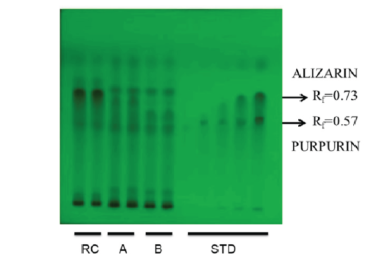 HPTLC plate of plant sample and different marketed preparations at 254 nm.