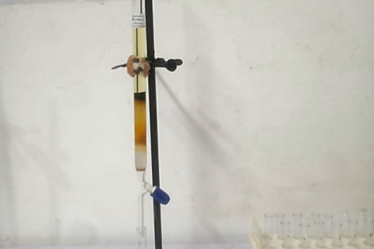 Isolation of components by column chromatography.