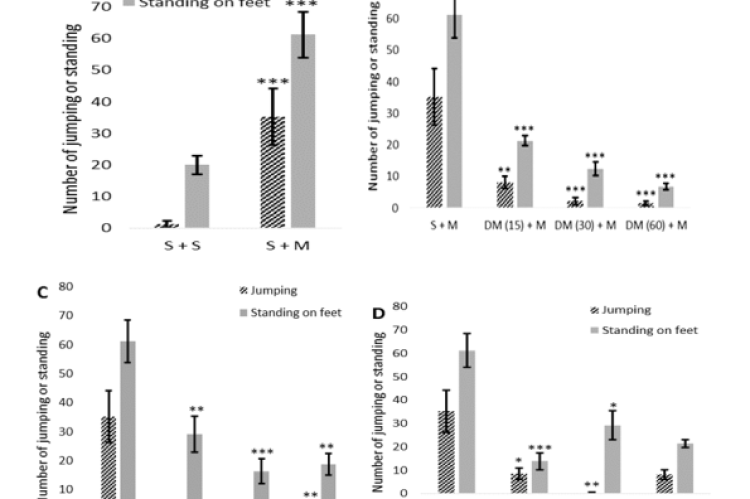 Comparing morphine withdrawal symptoms of (A) group 2 and group 1, (B) group 3-5 and group 2, (C) group 6-8 and group 2, and (D) group 9 and group 2, 3, and 6; * p<0.05, ** p<0.01, and *** p<0.001 (S=Saline, M=Morphine, T =Tanacetum Kotschyi, D=Dextromethorphan). The numbers in parenthesis are injection doses according to Table 1. image2