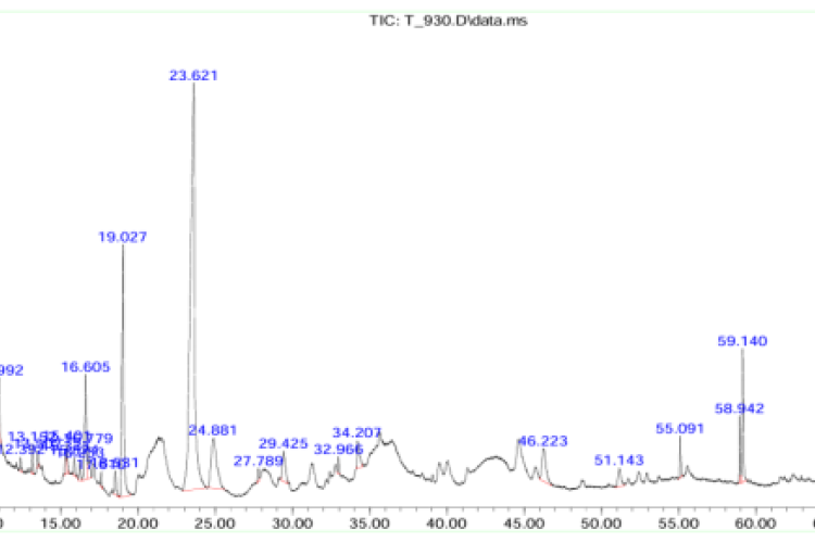 Chromatogram of GCMS of Eranda moola Niruha basti