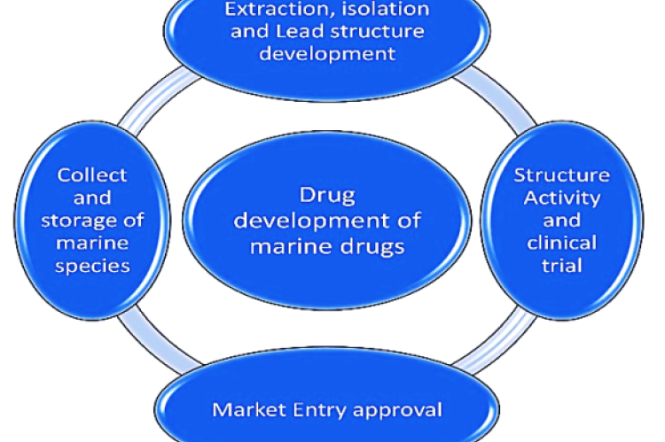 Fount development of marine drugs
