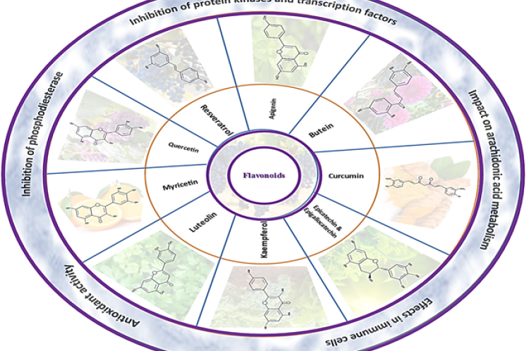 Basic chemical structure of different flavonoids