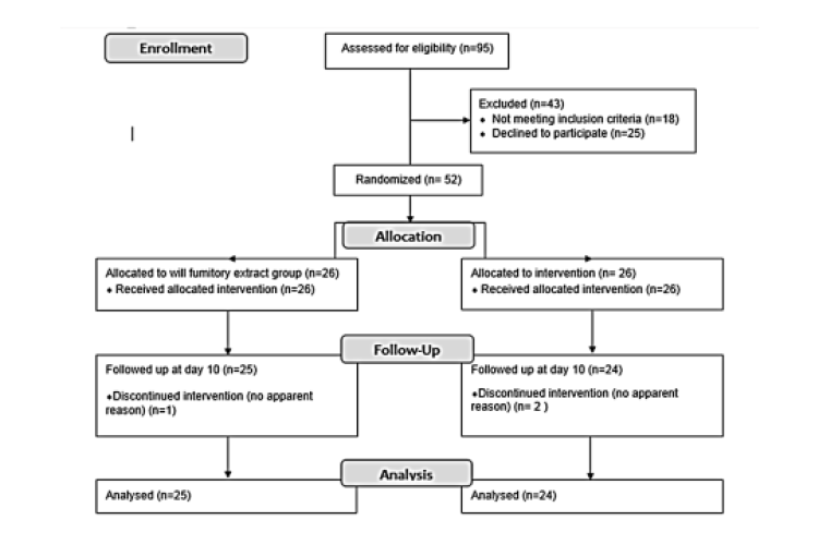 Diagram of patient enrollment and study process.