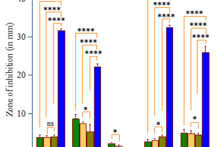 Comparative antibacterial activity of A. scholaris bark extract and ciprofloxacin against Bacillus cereus (BC), Staphylococcus aureus 1 (SA1), Staphylococcus aureus 2 (SA2), Escherichia coli (EC), and Salmonella typhi (ST). Values are in means±standard error of means (n=3); ****p≤0.0001; *p<0.05, ns=not significant