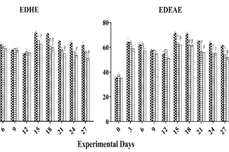 Effect of EDHE and EDEAE on rat paw-edema of different experimental groups of chronic arthritic experiment. The data is presented as the mean±S.E.M. of six rats each group (n=6). Two-way ANOVA was performed following Dunnett’s post hoc comparison test (β denotes p≤0.01; ᵞdenotes p≤0.05).