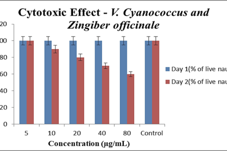 Cytotoxicity of biocomposite on Artemia salina at 5-80 μg/mL after 24 and 48 hr.
