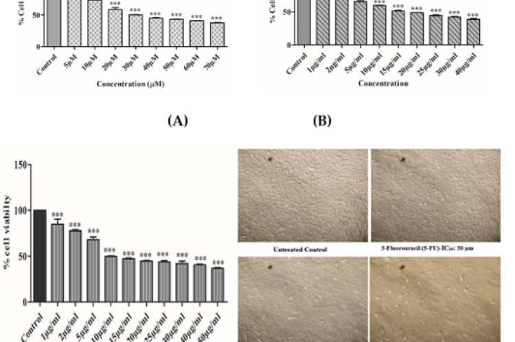 Cell Viability Assay by using the MTT for MDA-MB 231 (A) Graphs represents IC50 (30 μm) for 5-FU on MDA-MB- 231 (B) Graph represents IC50 (15 μg/mL) for CDM on MDA-MB-231 (C) Graphical presentation of estimation of IC50 (10 μg/mL) for CDE on MDA-MB-231 respectively at various concentrations. ***p<0.05 as compared to control and (D) Morphological changes by CDM and CDE on MDA-MB-231 cells at IC50 doses vs control