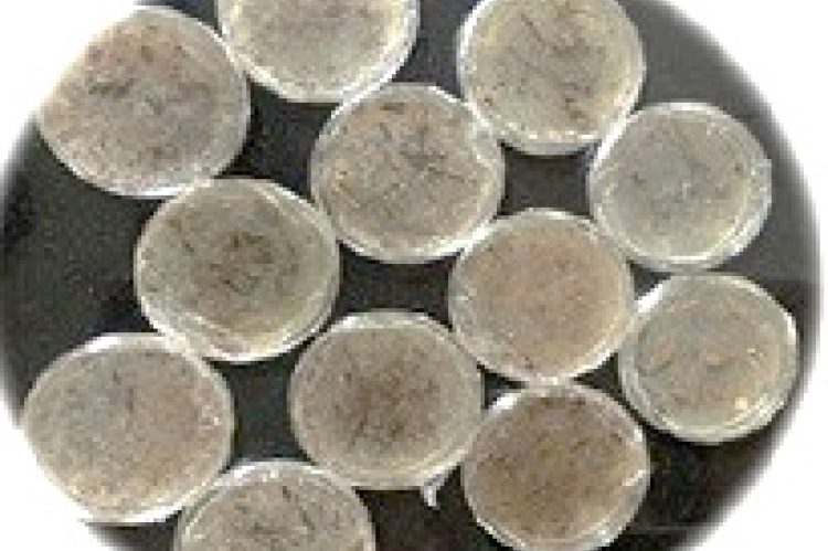 Morphological characteristics of bacterial colonies isolated from soil sample