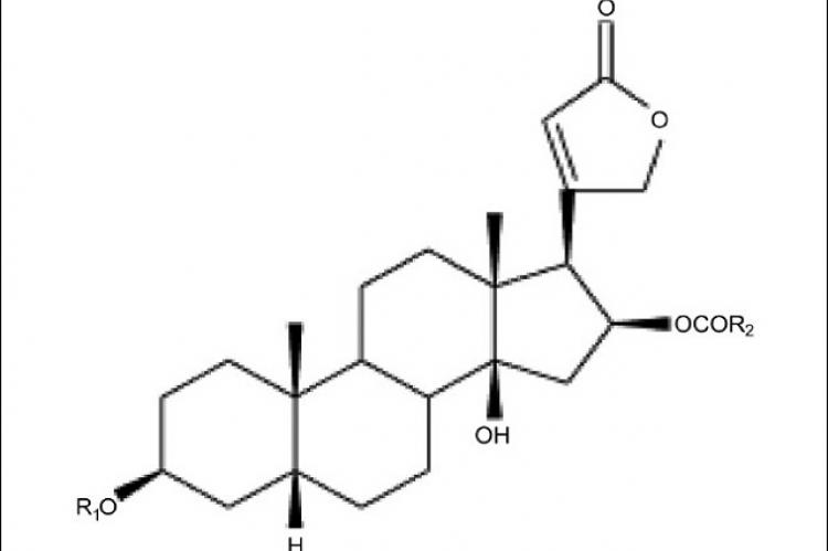 Chemical structures of cardiac glycosides