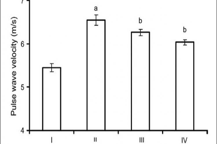 Pulse wave velocity of groups I (normal control)