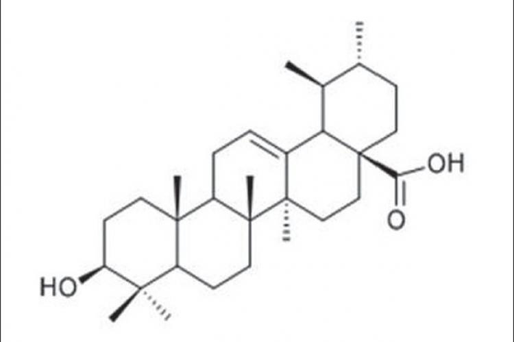 Acaricidal effect of an isolate from Hoslundia opposita vahl against Amblyomma variegatum (Acari: Ixodidae)