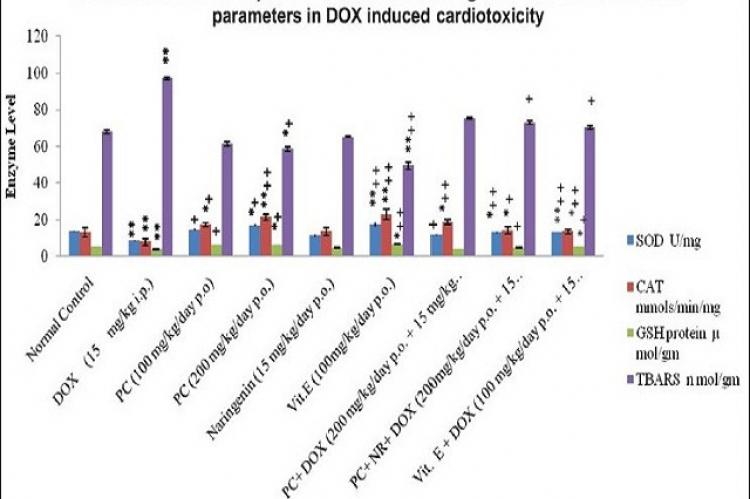 Combined effects of p-coumaric acid and naringenin against doxorubicin-induced cardiotoxicity in rats