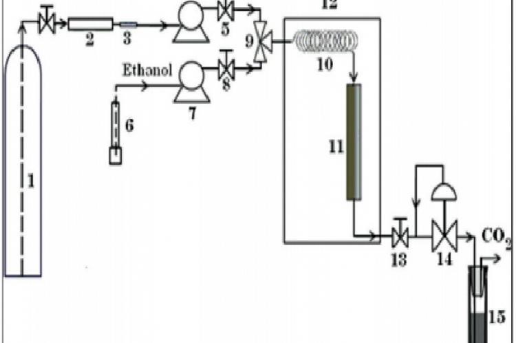 Schematic diagram of SFE system: (1) CO2 tank; (2) molecular sieve filter; (3) ss 2 µm pore size filter; (4) carbon dioxide transfer pump; (5, 8, 13) two-way needle valves; (6) Ethanol v; (7) high-pressure piston pump; (9) three ways valve; (10) preheating coil; (11) extraction cell; (12) thermostated oven; (14) back-pressure regulator; (15) sample collection vessel