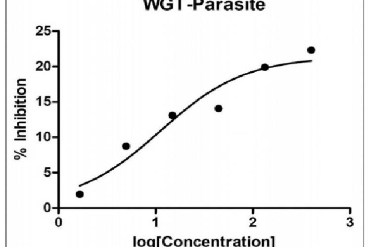 Effect of Wushwush green tea extract on Leishmania parasite