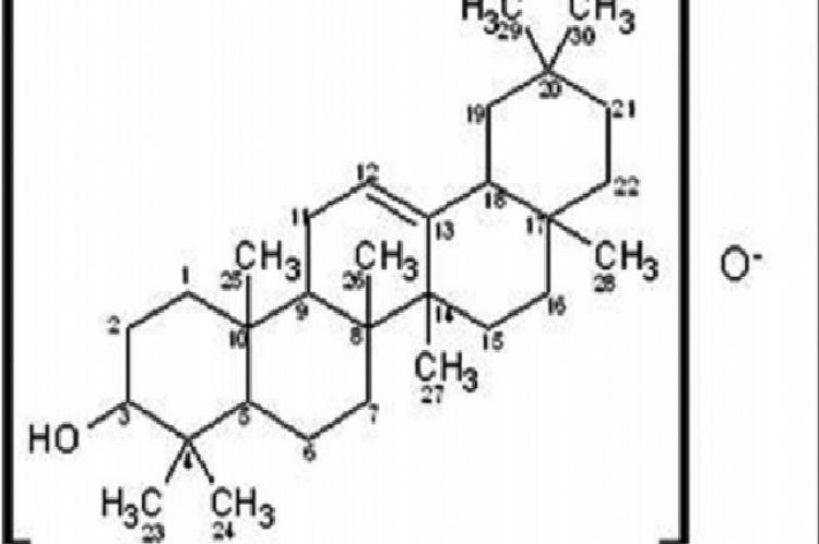  Structure of isolated compound