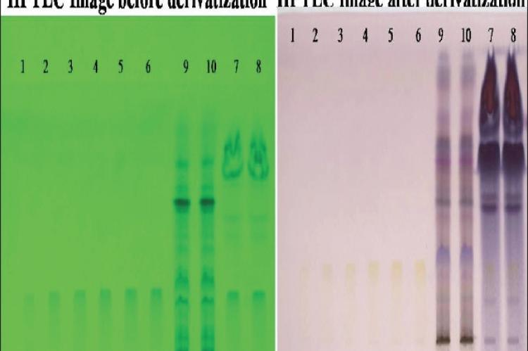 High‑performance thin layer chromatography chromatograms of Benincasa hispida seeds, Carissa congesta roots and standard for quercetin