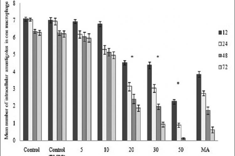 Mean number of intracellular amastigotes in negative controls, increasing concentrations of osthole, and positive control in 12, 24, 48, and 72 h. Number of amastigotes is significantly decreased at concentrations ≥20 μg/ml (P < 0.05)