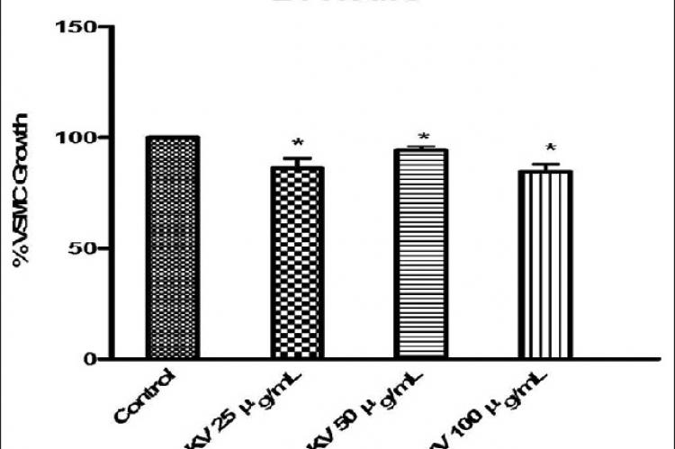 Effects of 24 h incubation of vascular smooth muscle cell with kolaviron (25–100 μg/mL) on cell growth