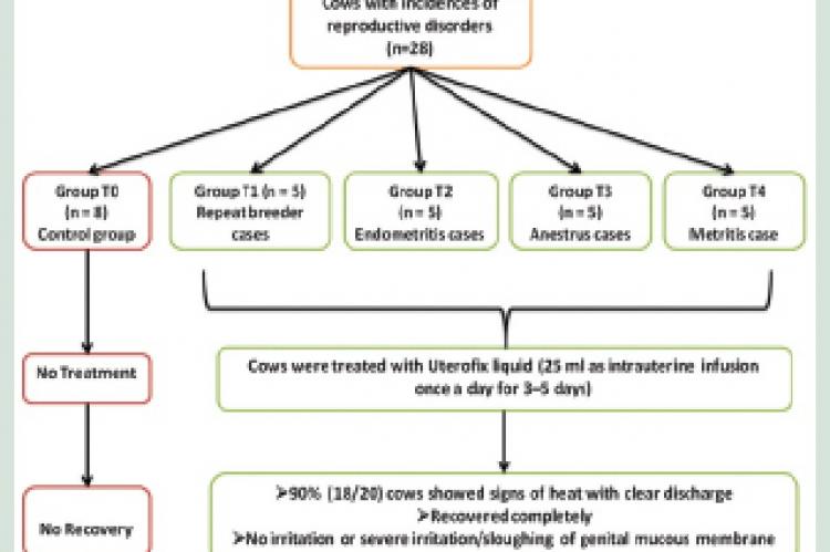 Evaluation of Efficacy of Herbal Intrauterine Infusion Uterofix Liquid in Treatment of Various Reproductive Disorders in Cows: A Field Study