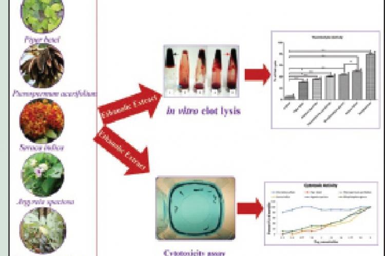 Effects of Five Bangladeshi Plant Extracts on In vitro Thrombolysis and Cytotoxicity