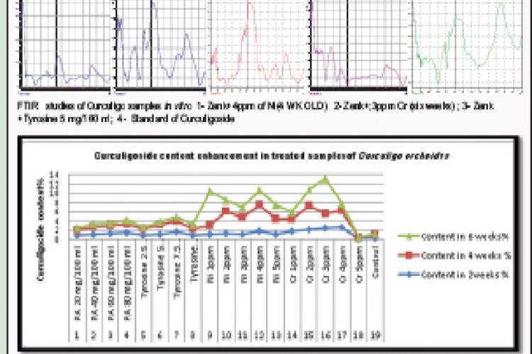 Infrared studies of curculigo samples in vitro 1‑Zenk + 4 ppm of nickel (4‑week‑old) 2‑ Zenk +; 3 ppm chromium (6 weeks); 3‑Zenk + tyrosine 5 mg/100 ml; 4‑ standard of curculigoside. Graphs showing the similar pattern of peaks in all samples and comparable to standard compound of Curculigo orchioides