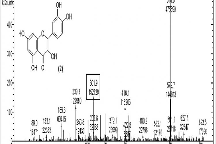 Mass spectrum showing presence of quercetin (2) in Carissa congesta extract
