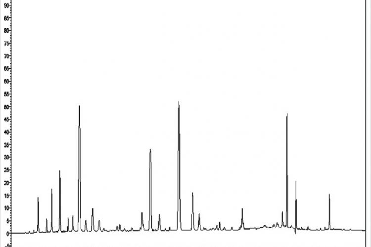 High‑performance liquid chromatography profiling of Pithecellobium dulce saponin‑enriched fraction at 210 nm