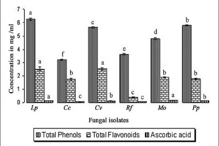 Bioactive components of methanolic extract of mushrooms Lp - Lycoperdon perlatum