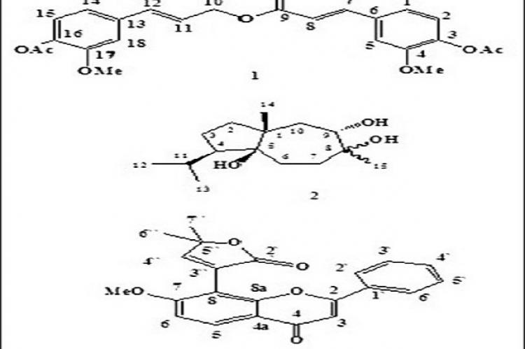 Structures of compounds 1, 2 and 3