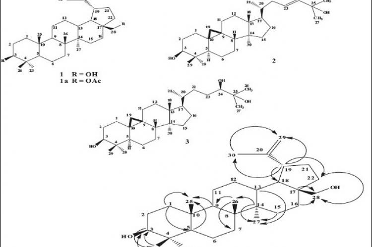 Selected HMBC correlations of compound 1