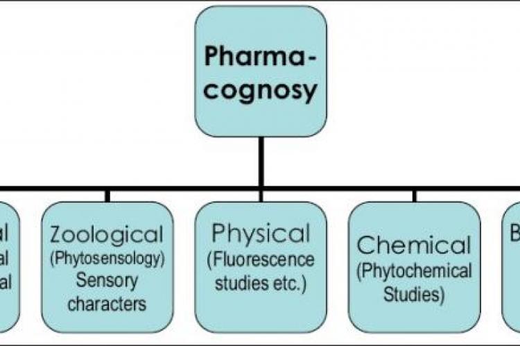 Different parameters used in Pharmacognosy