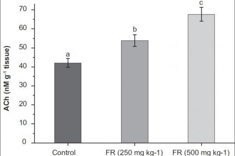 Acetylcholine concentration in the hippocampi of various groups.