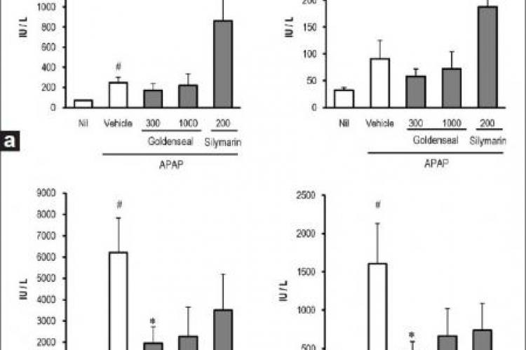 Effects of goldenseal and silymarin on serum AST and ALT activities in APAP-induced liver failure.
