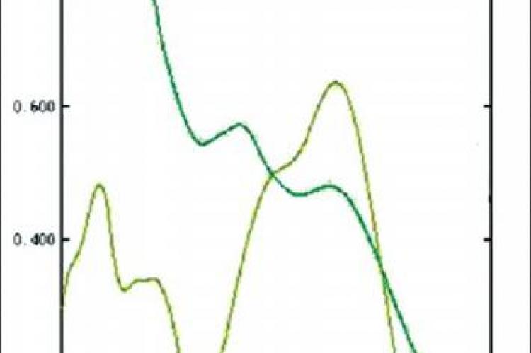 The spectrum of UV scanning: the green curve stands for L. drymoglossoides extracts 